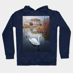 swan and wild ducks on water Hoodie